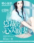 婚心荡漾总裁的心尖暖妻水无心