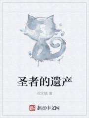 圣者的遗物箱多少钱