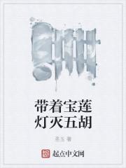 有宝莲灯的位面