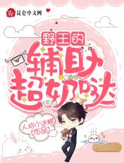 野王需要什么辅助