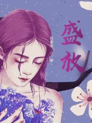 盛放中sheng还是cheng