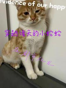 穿越诸天从龙蛇开始
