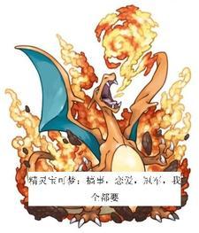 精灵宝可梦搞笑小视频