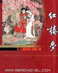 红楼梦第六回