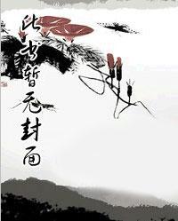 陈宁宋娉婷作者