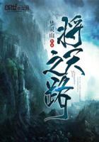 FC启天之路攻略图解