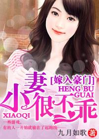 豪门小老婆全文阅读全文原文
